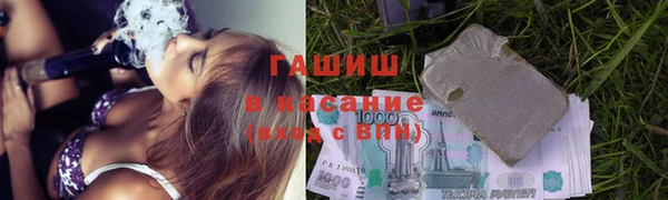 шишки Аркадак