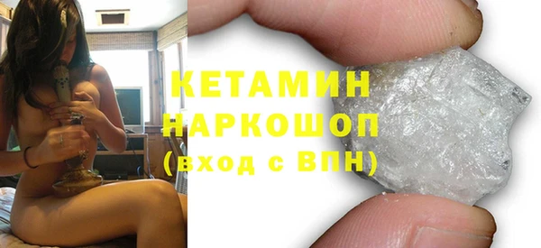 шишки Аркадак