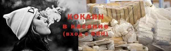 индика Армянск