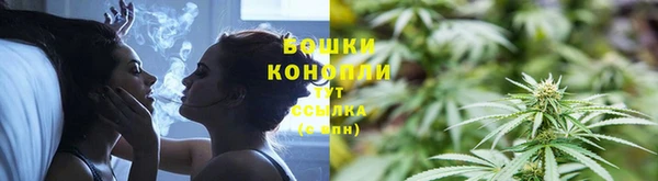 шишки Аркадак