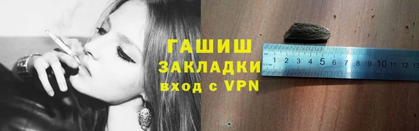 шишки Аркадак