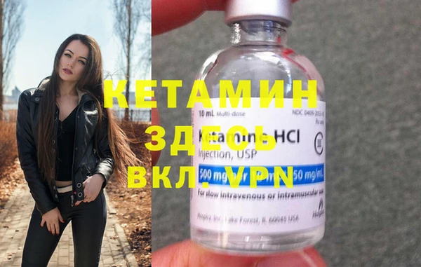 шишки Аркадак