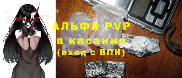 шишки Аркадак