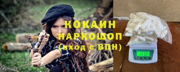 ешки Арсеньев