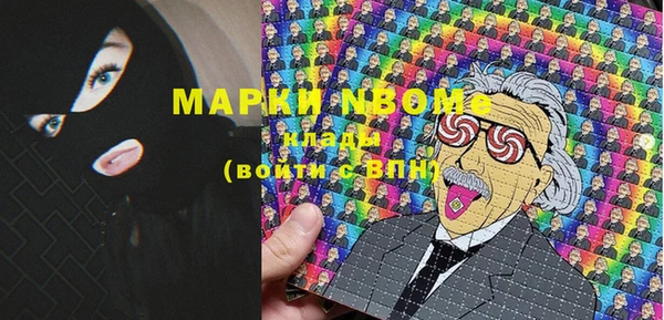 индика Армянск
