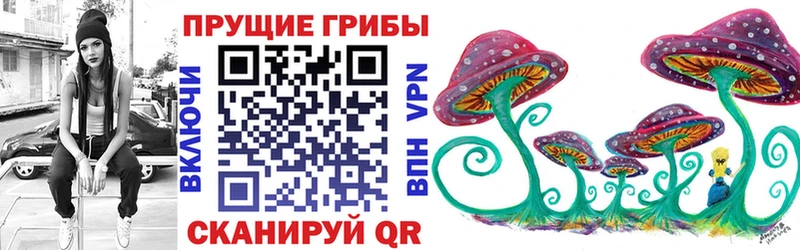 сколько стоит  Сокол  Псилоцибиновые грибы GOLDEN TEACHER 